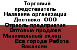 Торговый представитель › Название организации ­ Доставка, ООО › Отрасль предприятия ­ Оптовые продажи › Минимальный оклад ­ 27 000 - Все города Работа » Вакансии   . Мурманская обл.,Оленегорск г.